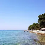 Buskulic *