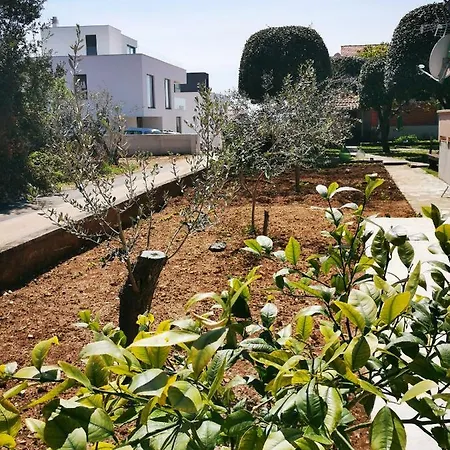 Buskulic דירה